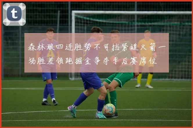 森林狼四连胜势不可挡紧追火箭一场胜差领跑掘金争夺季后赛席位
